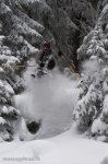 Sport/Freeride Ski